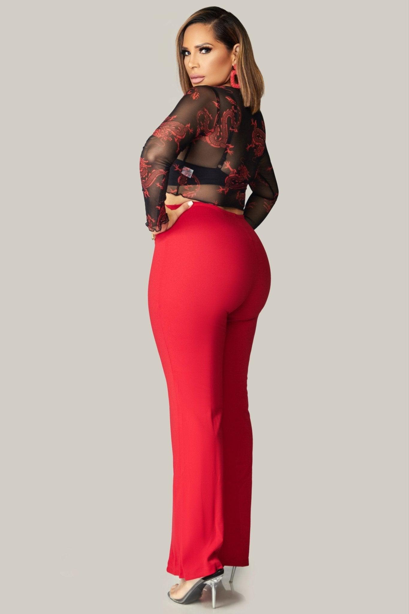 Andrea Dragon Printed Mesh Crop Top - MY SEXY STYLES